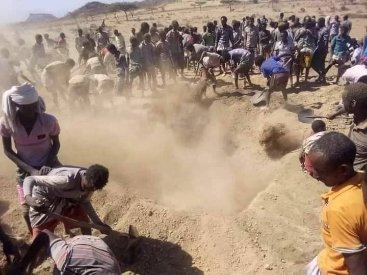 Karrayyu dig a mass grave for the massacred Gadaa leaders.