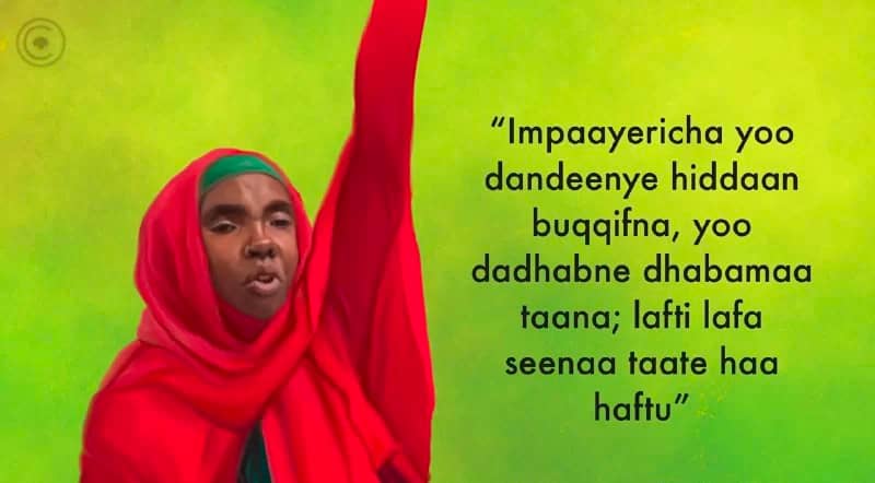 Jaal Lalisee Roobaa-a veteran freedom fighter of the Oromo liberation struggle.