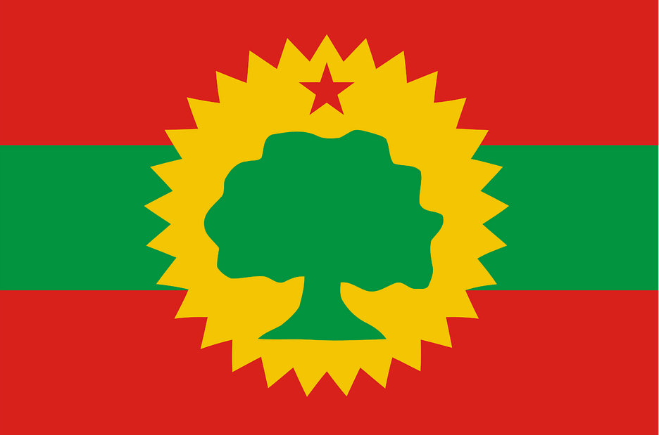 1280px Flag of the Oromo Liberation Front.svg